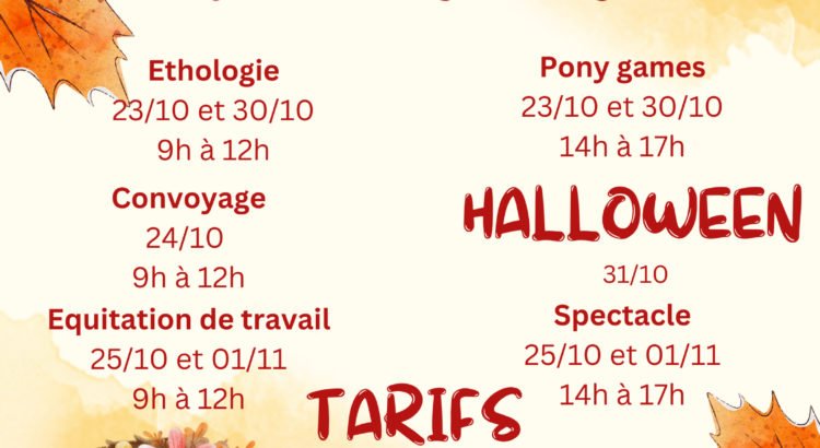 Stage de la toussaint