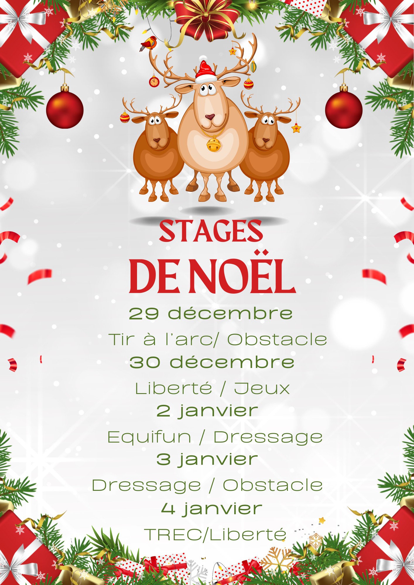 🎅 Stages de Noël à L’Orge Sucrée : des vacances magiques au rythme des poneys