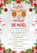Stage Noël