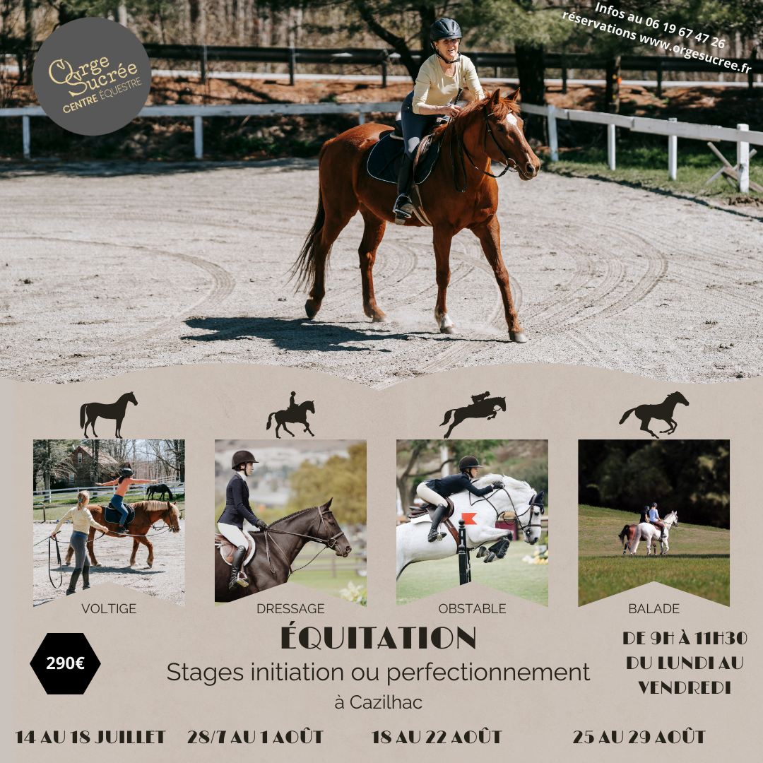 Stage d'initiation ou perfectionnement